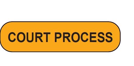 "COURT PROCESS" Imprinted Label - Fluorescent Orange