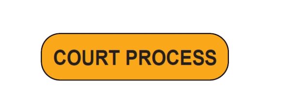 "COURT PROCESS" Imprinted Label - Fluorescent Orange