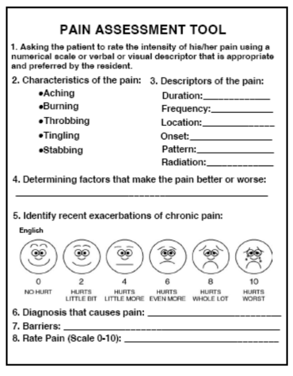 "PAIN ASSESSMENT TOOL" Imprinted Label - White