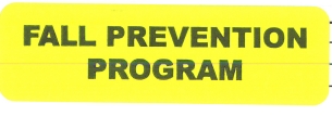 "FALL PREVENTION PROGRAM" Imprinted Label - Fluorescent Yellow