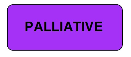 "PALLIATIVE" Imprinted Label - Gloss Purple