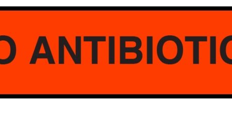"NO ANTIBIOTICS" Imprinted Label - Fluorescent Red